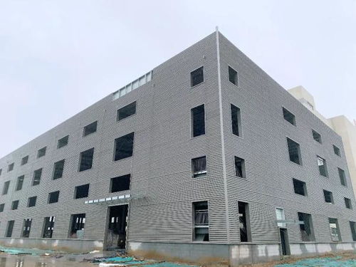 以河為媒 天津推進 十項行動 創(chuàng)造高品質生活