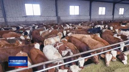 山海攜手 共謀小康!26載閩寧協作開創經貿往來新局面